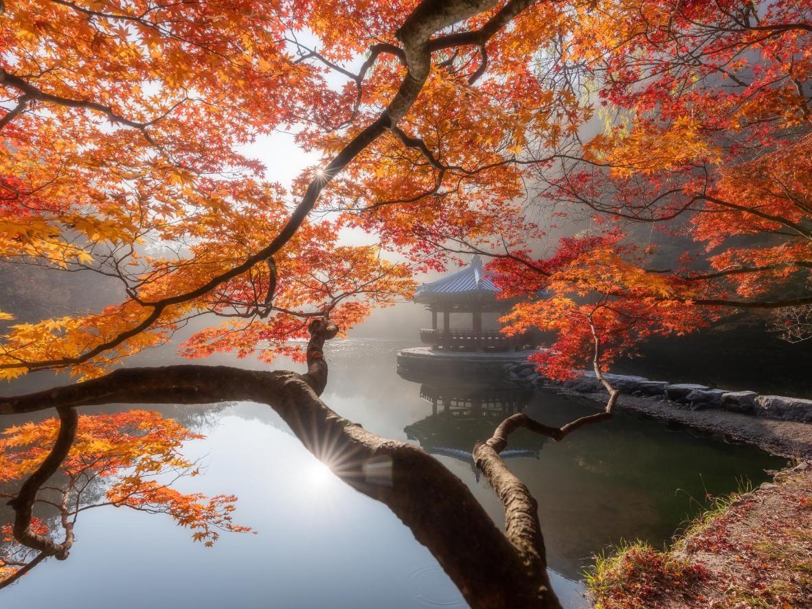 The incredible autumn scenes in Naejangsan National Park