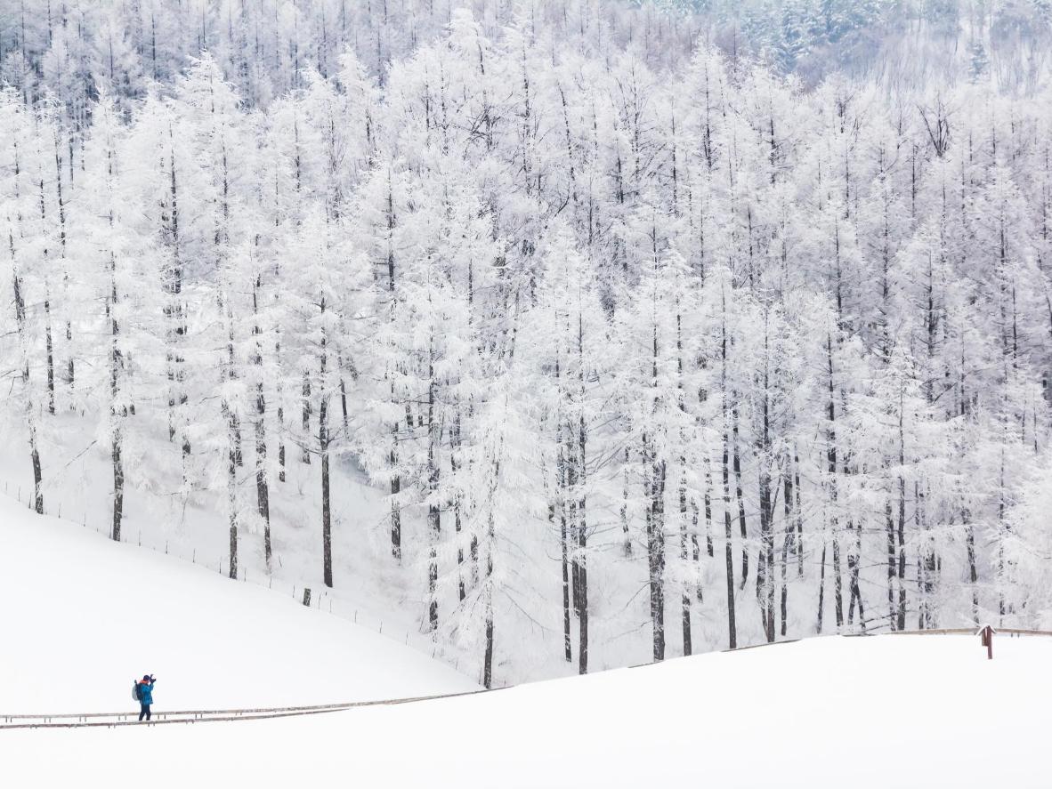 Enjoy photogenic, snow-blanketed landscapes and a phenomenal winter sports offering in Pyeongchang