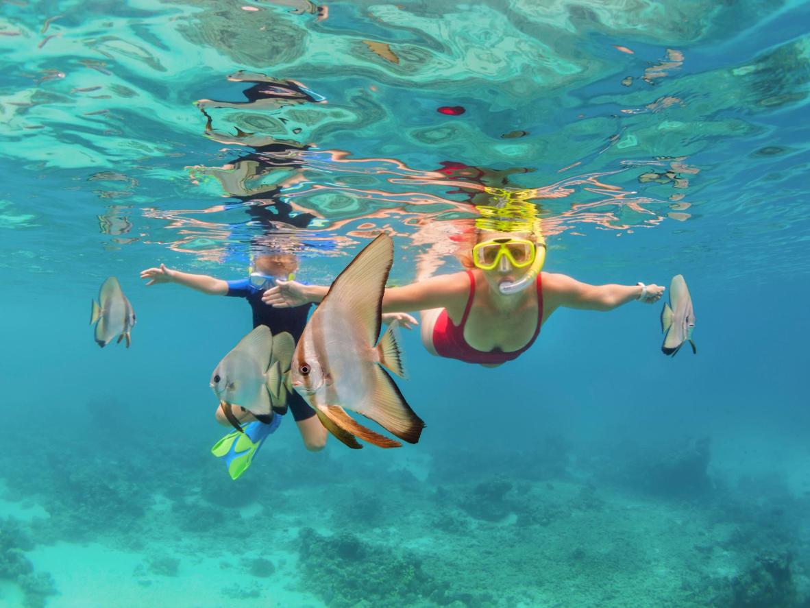 Snorkeling in Coral Bay, Nha Trang, Khanh Hoa Province