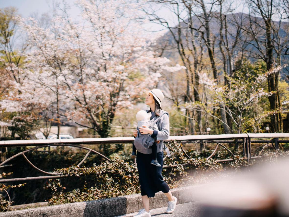 A spring day in Fukuoka featuring beautiful cherry blossoms