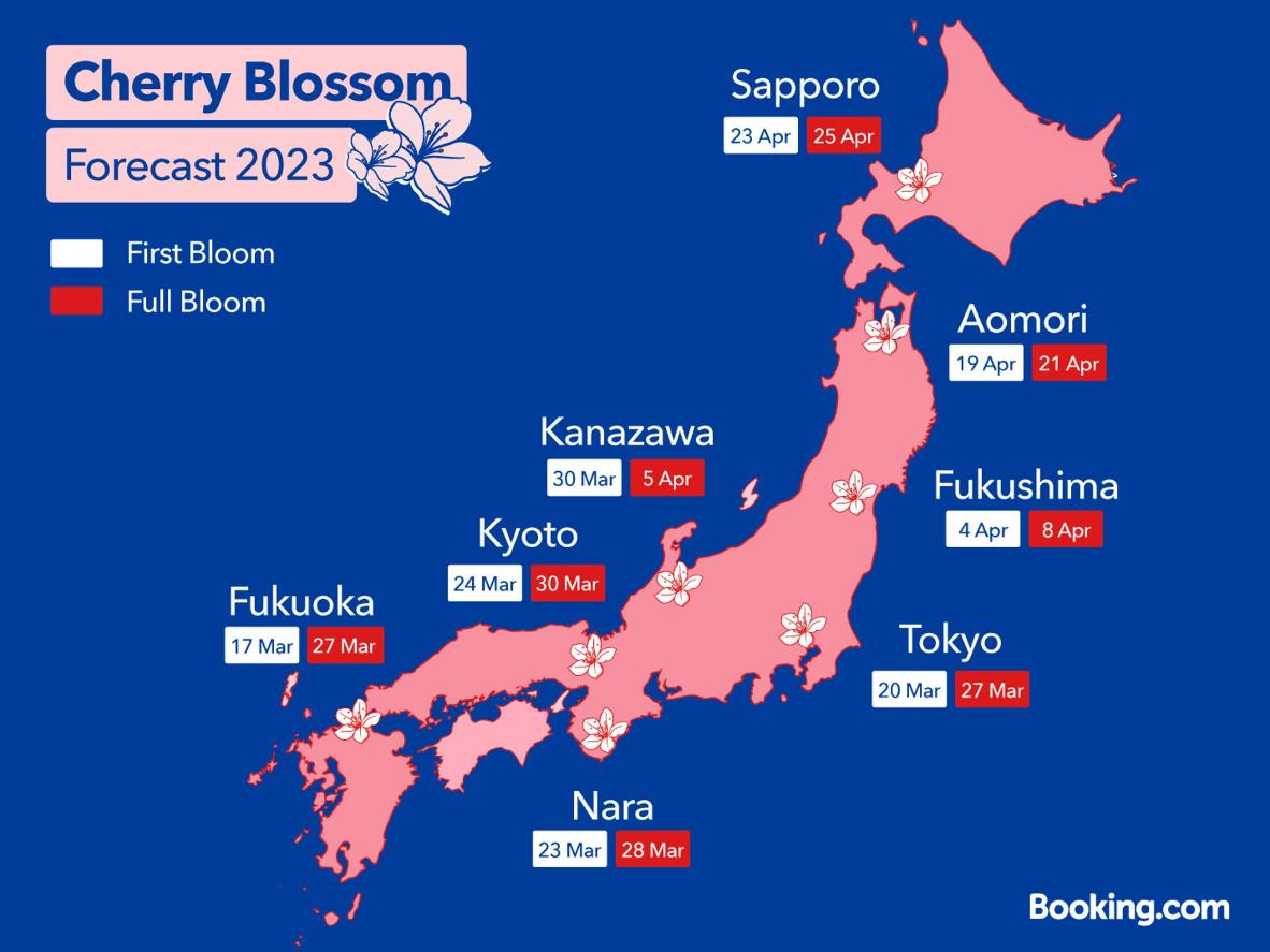 11 mete giapponesi dove ammirare il sakura