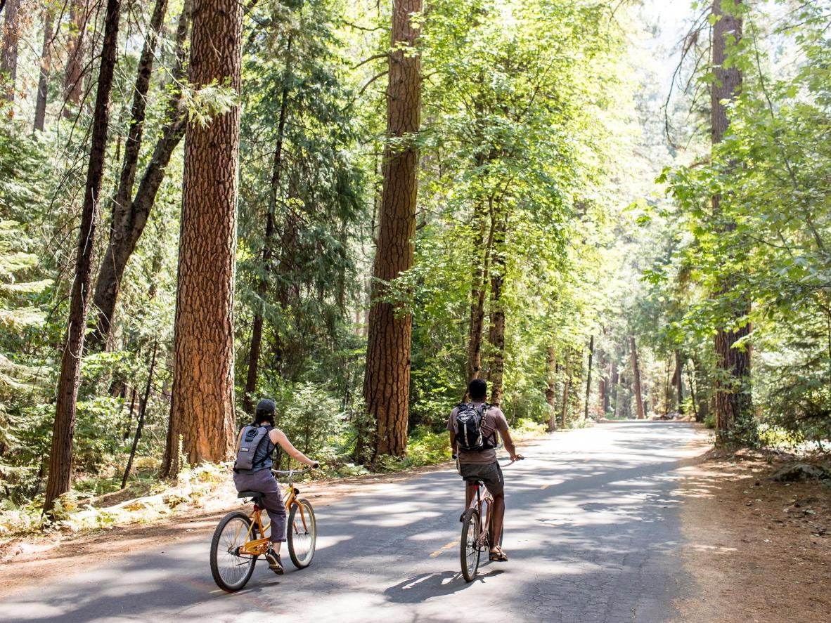 Bike through Yosemite National Park