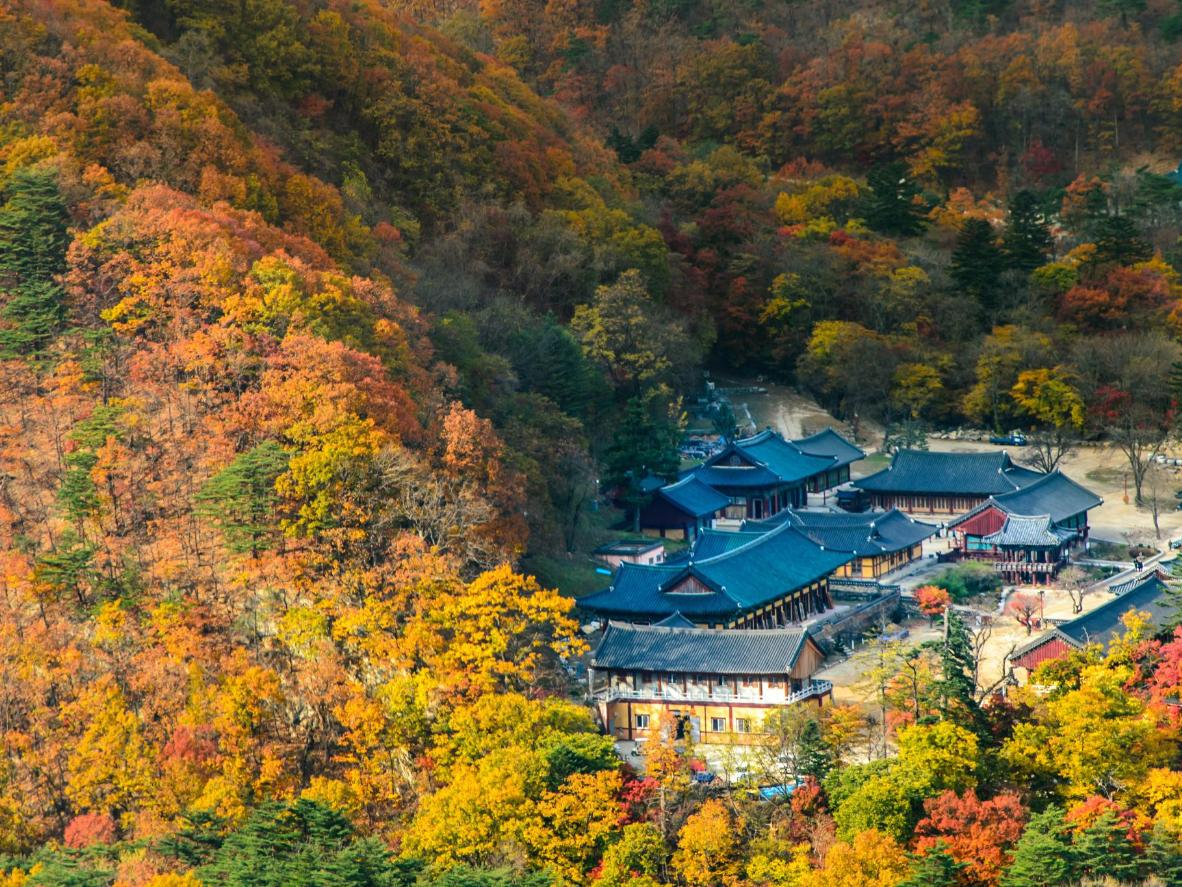 Enjoy hiking with views of ancient temples and autumnal forests in Seoraksan National Park