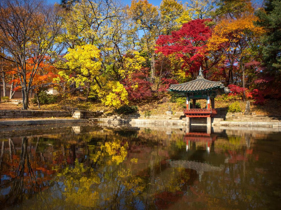 Witness ancient grandeur and autumn splendor at Changdeokgung Palace
