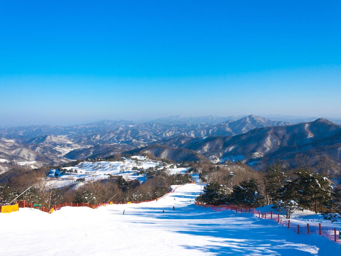 Take a day trip to the themed slopes of Vivaldi Park Ski Resort Korea