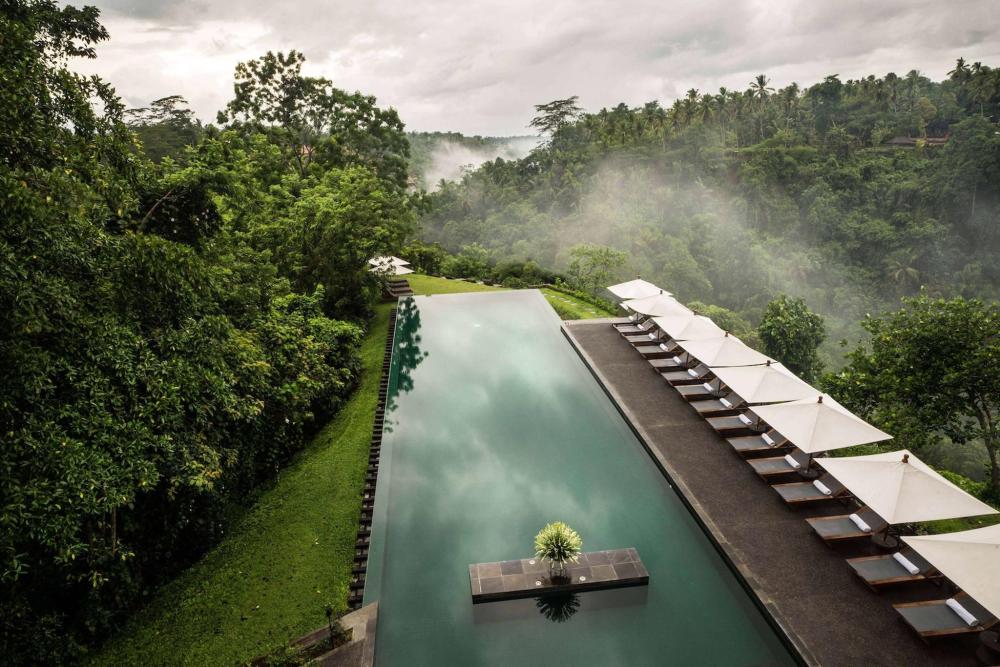 A serene long infinity pool bordered by vibrant green trees at Alila Ubud, creating a picturesque outdoor setting