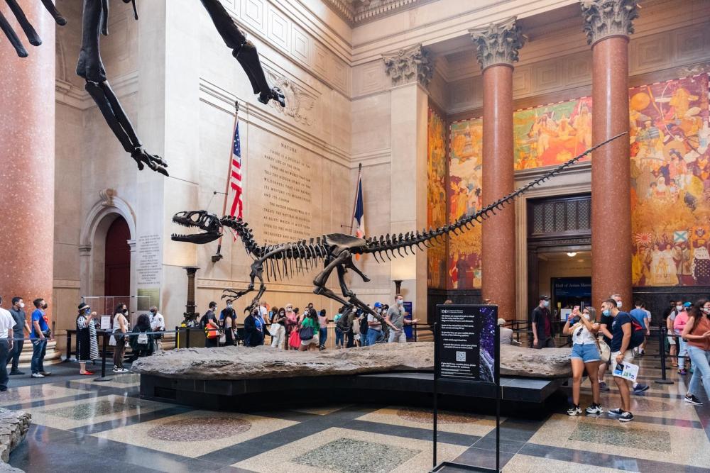  People view the Museum of Natural History in New York City, with the grand dinosaur skeleton central to the room