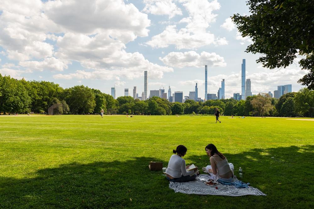 Two individuals seated on a blanket in Central Park, enjoying a moment amidst the greenery
