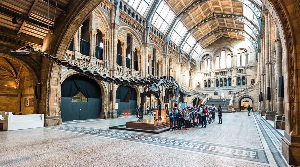 The iconic Natural History Museum in London, featuring a group of children stood near a dinosaur's skeleton