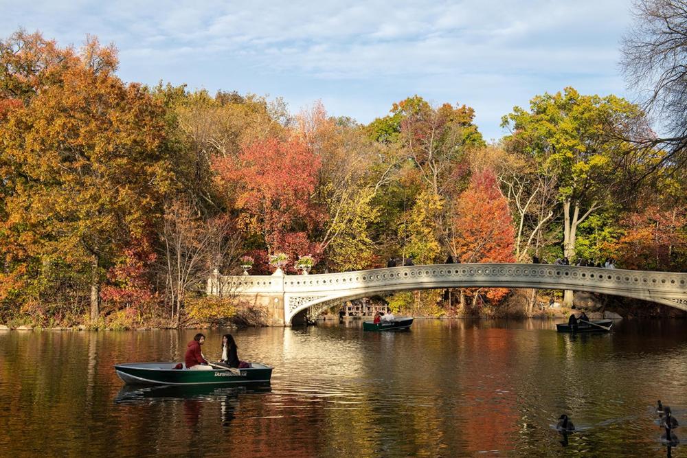 A couple enjoys a serene moment in a boat on a lake in New York, surrounded by nature's beauty.