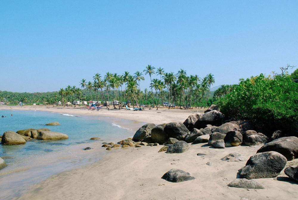 A beach in Agonda featuring rocks and palm trees lining the tranquil shore under a clear blue sky.