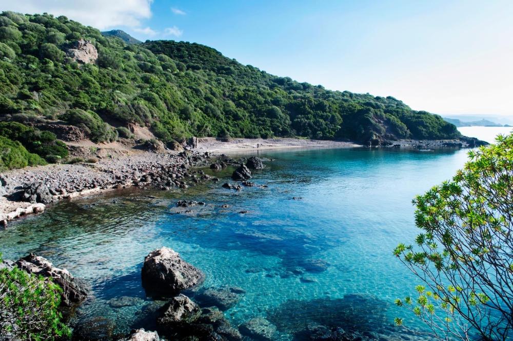 Una pittoresca spiaggia in Sardegna con acque cristalline e una folta vegetazione, ideale per una fuga di relax