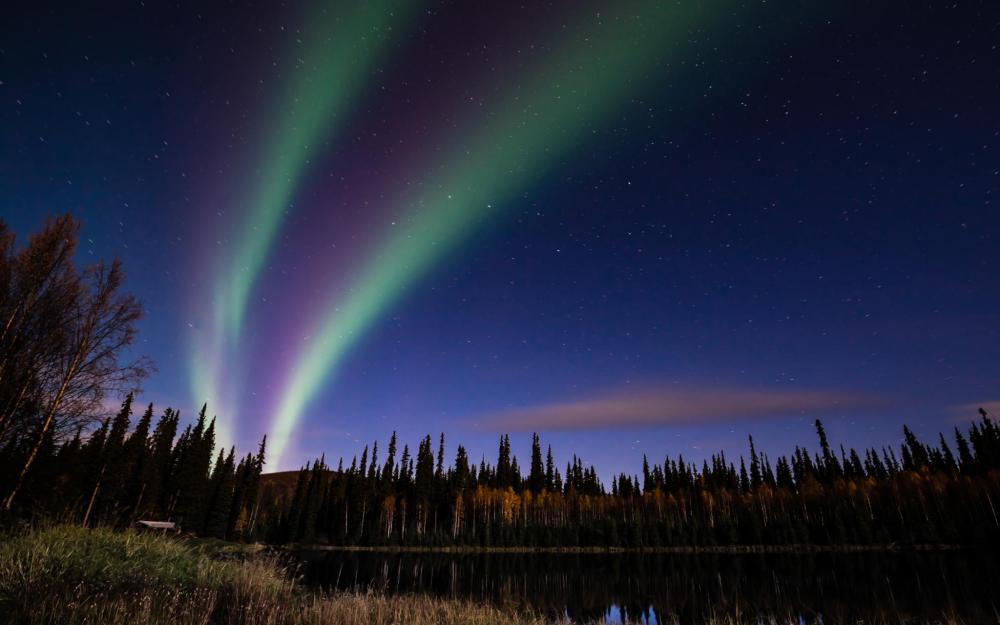 The northern lights appears as a greenish purple ribbon, dancing its way across Alaska’s sky
