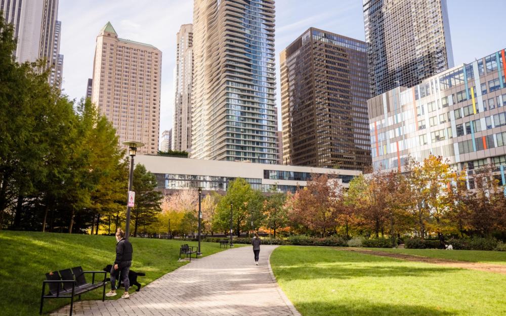 The green spaces of Chicago complement the city landscape's towering landscape. A person and their dog can also be seen in the foreground.