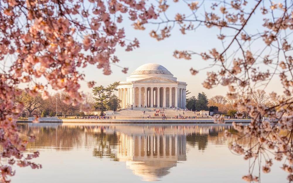 Cherry blossoms dance across the landscape of the Lincoln Memorial - the lake below reflects the memorial, making for a picturesque scene