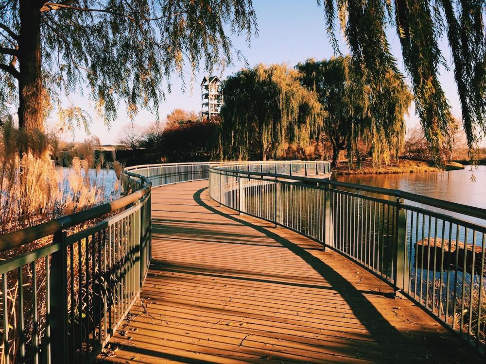 A winding path in Chicago's Botanical Park. The image has a warm feel to it, and the gardens feel inviting