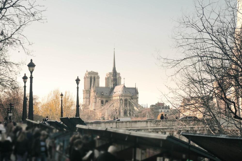 Notre-Dame de Paris on a brisk autumnal day amongst some trees