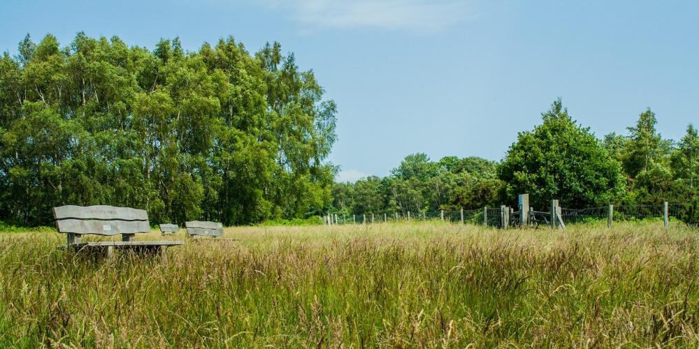 A bench in Surrey in a field