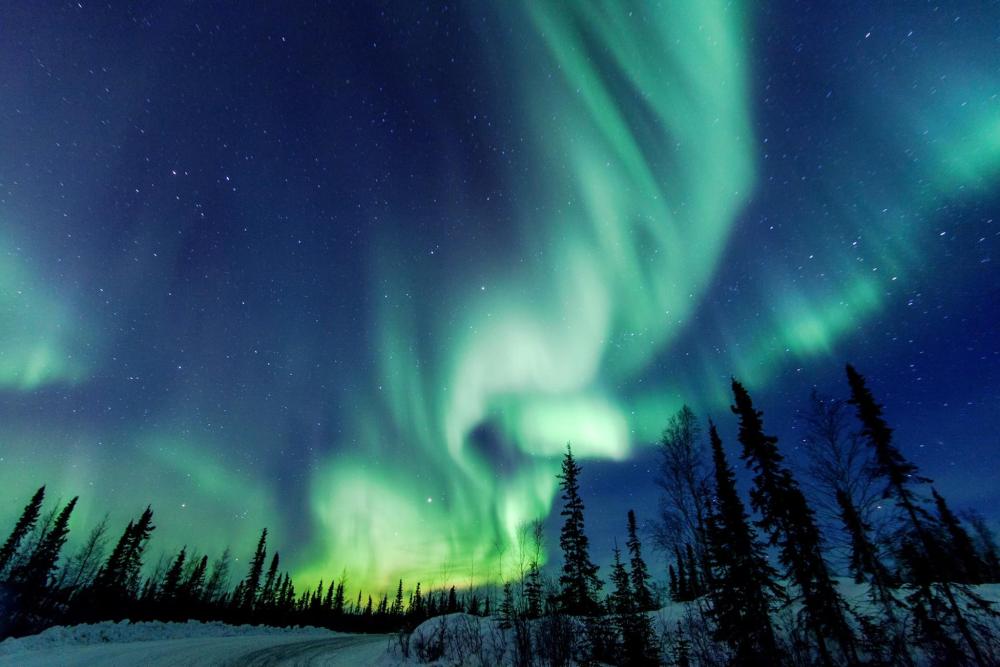 Der pechschwarze Himmel über Yellowknife wird von gelblich-grünen Polarlichtern geziert