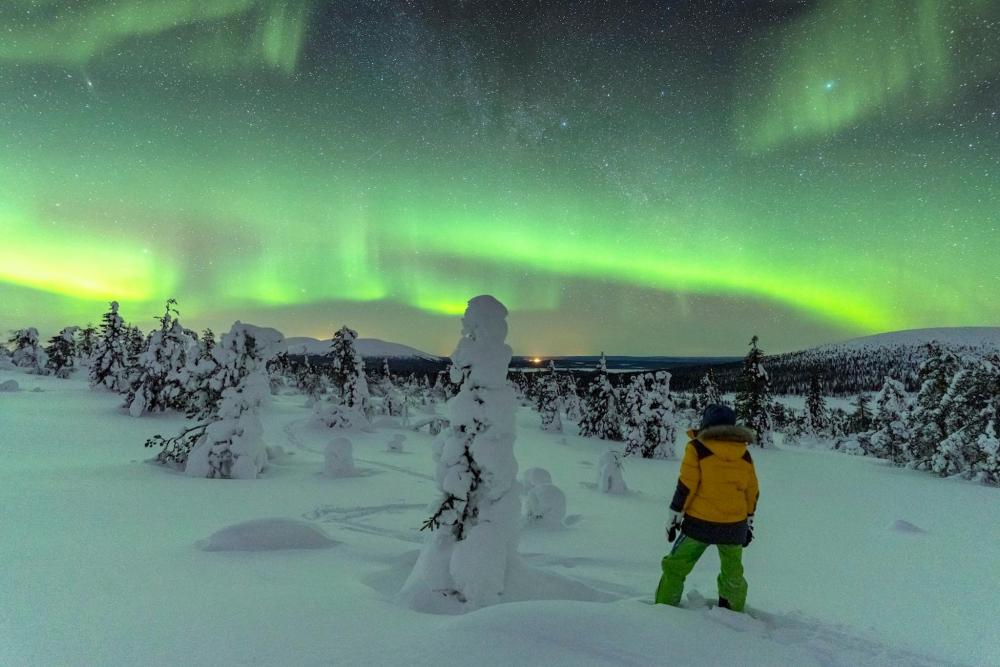 Ein Junge steht neben einem schneebedeckten Baum und bestaunt die Schönheit der grünen Polarlichter am Himmel von Tromsø