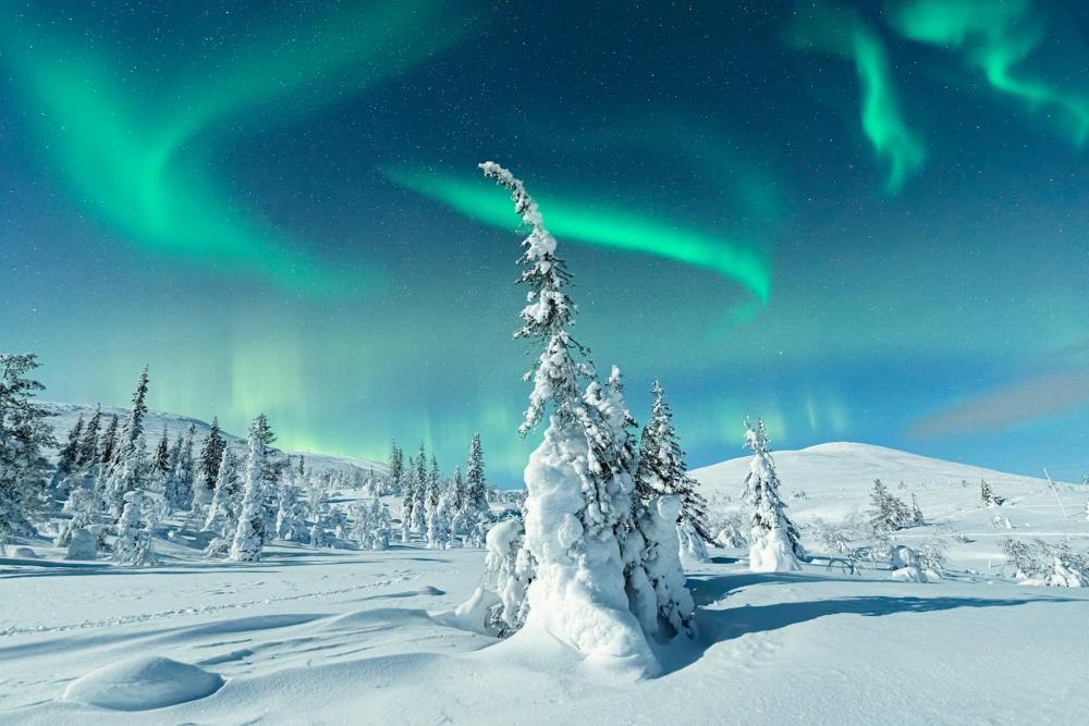 Die Polarlichter leuchten grünlich über der verschneiten Landschaft von Ivalo