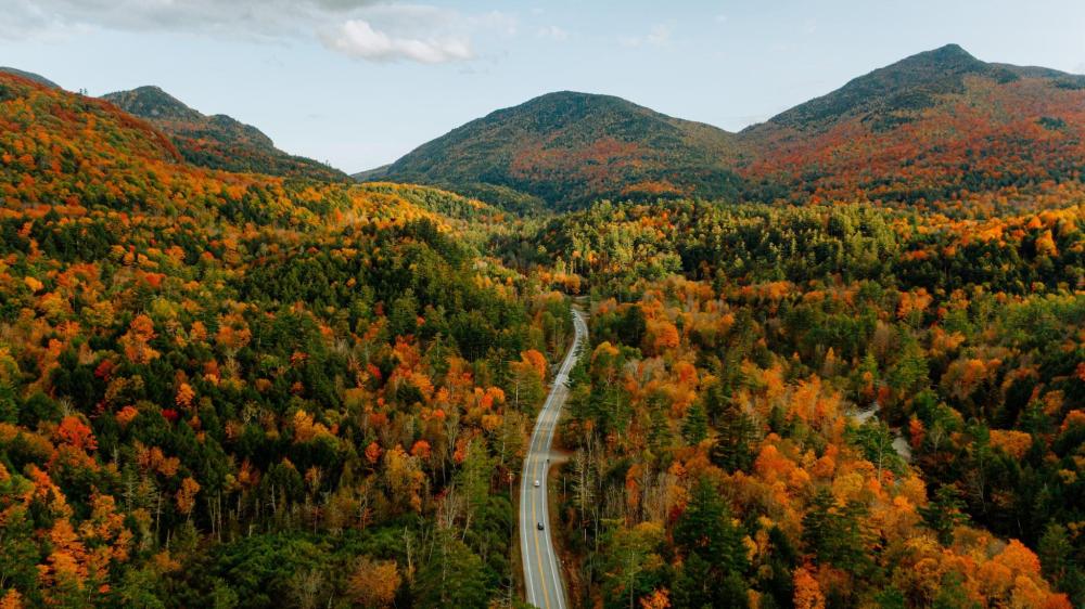 Overhead view of a picturesque road lined with autumn leaves in the White Mountains, New Hampshire.