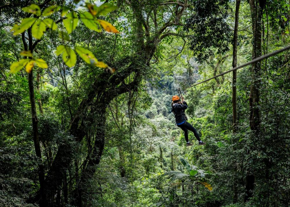 A man experiences an exhilarating ride on a zipline, soaring above the dense jungle foliage.