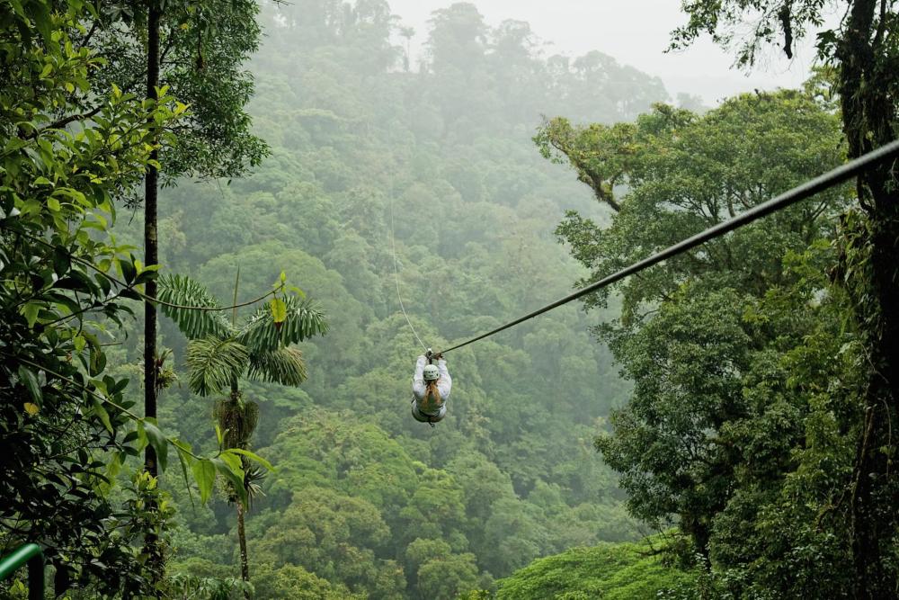 A person glides through the lush jungle on a zipline, surrounded by vibrant greenery and tropical foliage.
