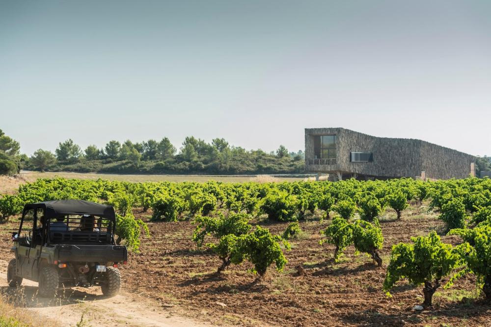 A buggy tour drives through a scenic vineyard in Village Castigno, Hérault, France, with rows of grapevines in the background.