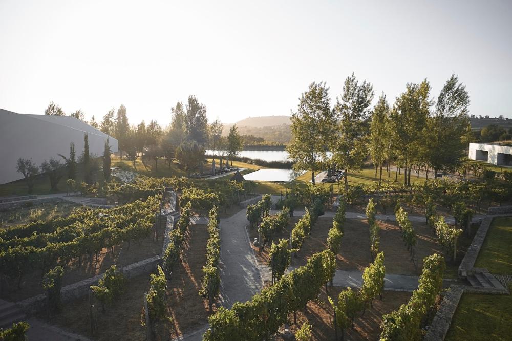 A scenic view of L'AND Vineyards in Alentejo, Portugal, showcasing lush vineyards and the picturesque surrounding landscape.