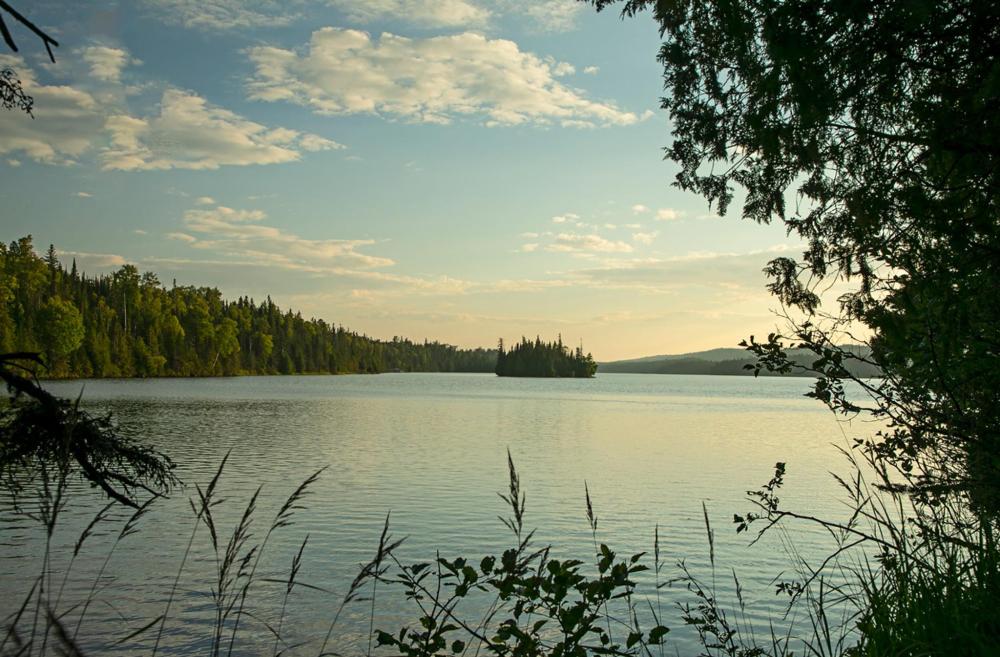 A tranquil scene of Lake Superior, framed by dense forest, showcasing the beauty of nature in Michigan's wilderness.