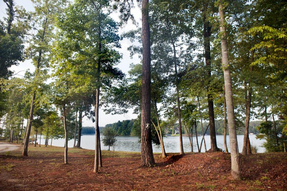 A serene wooded area in Lake Oconee, Georgia, featuring a cluster of tall, lush trees surrounded by nature.