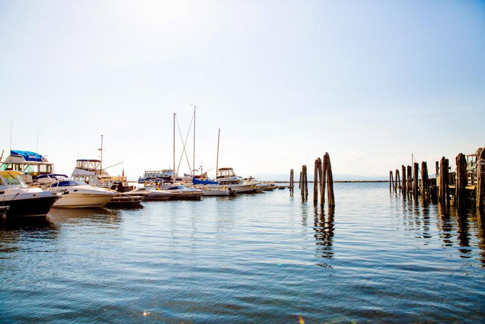 A collection of boats moored at a marina on Lake Champlain, New York, reflecting the tranquil atmosphere of the area.
