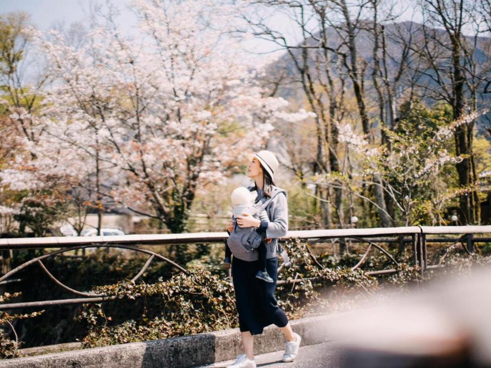 A spring day in Fukuoka featuring beautiful, blooming cherry blossom
