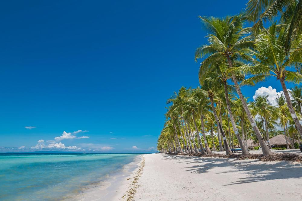 Panglao is a small tropical paradise that is well-known for its stunning white beaches
