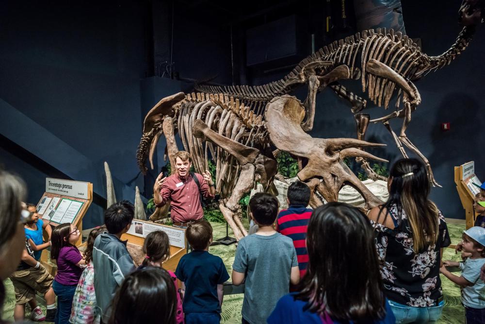 8. Orlando Science Center