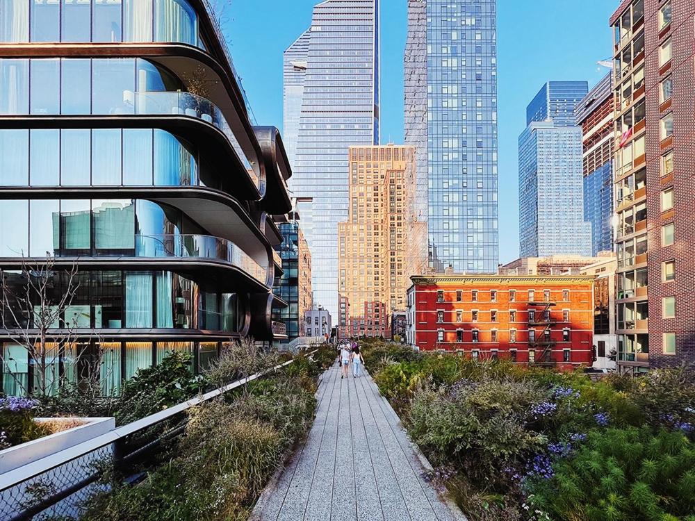 A view of the High Line in New York City, showcasing elevated gardens and urban architecture against a clear blue sky