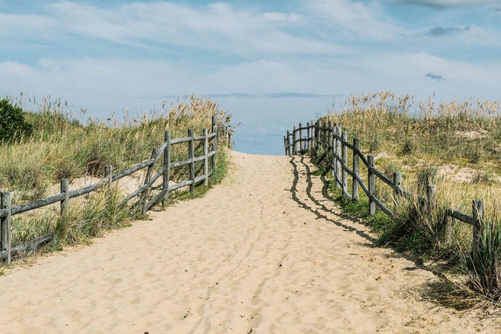 A sandy pathway through grass and dunes leading to the beach at Sandbridge