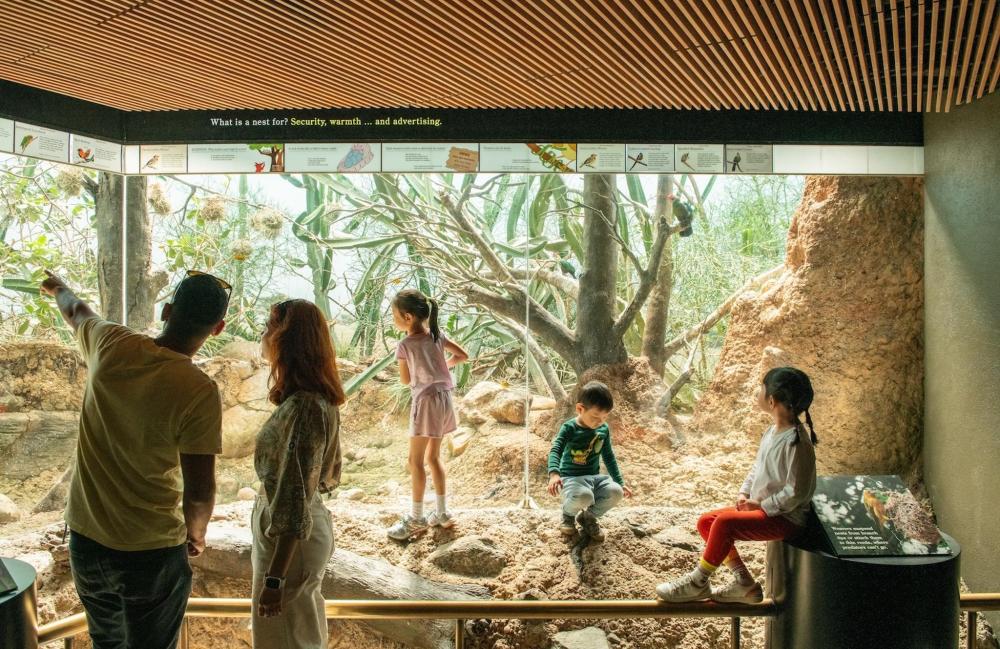 A family observes an exhibit at The Bronx Zoo, engaging with the animals and enjoying their day together