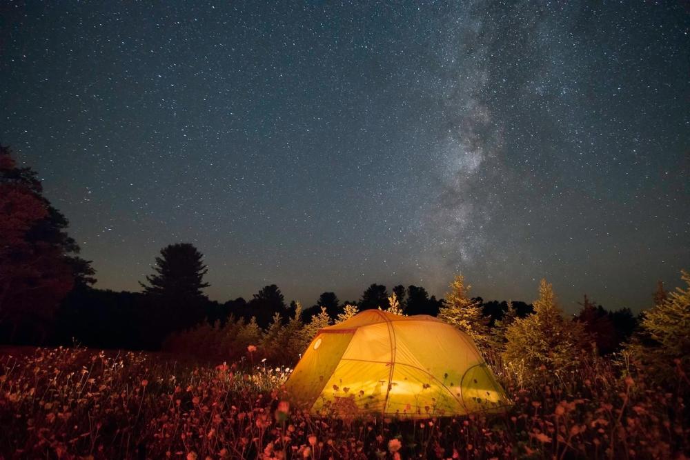 A yellow tent illuminated under a starry night sky at Cherry Springs State Park