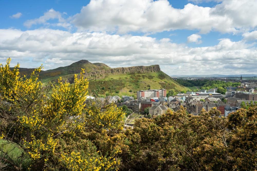 A vibrant Edinburgh cityscape featuring yellow flowers in the foreground, with Arthur's Seat rising in the background