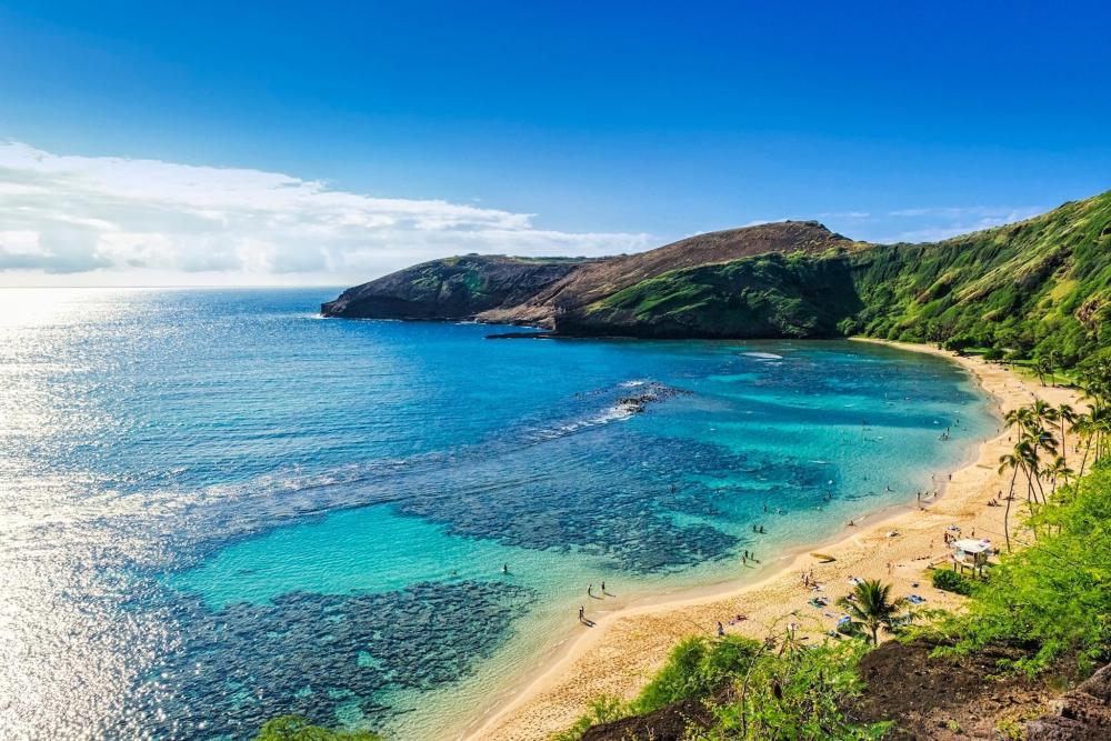 Lush greenery and stunning scenery of Oahu, Hawaii, highlighting the island's rich natural environment and beauty