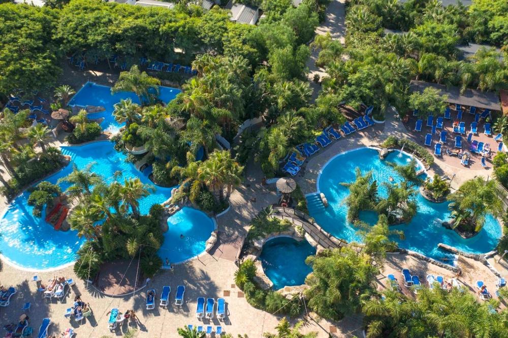 An aquamarine pool with palm trees is depicted in an arial shot
