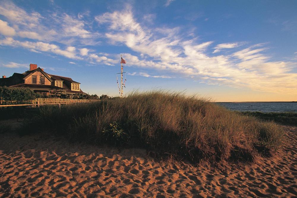 Beautiful beachfront accommodations for you and your four-legged friend
