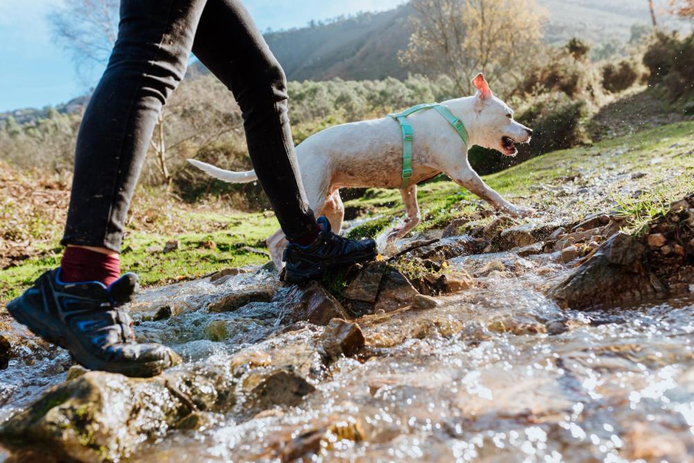 Store your shoes in a shower cap