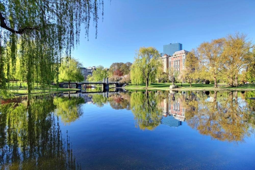 A park in Boston filled with lush greenery and flowers, located in ...