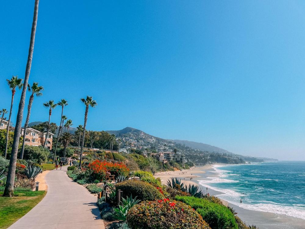 A scenic walkway along Treasure Island Beach, lined with trees and vibrant flowers.