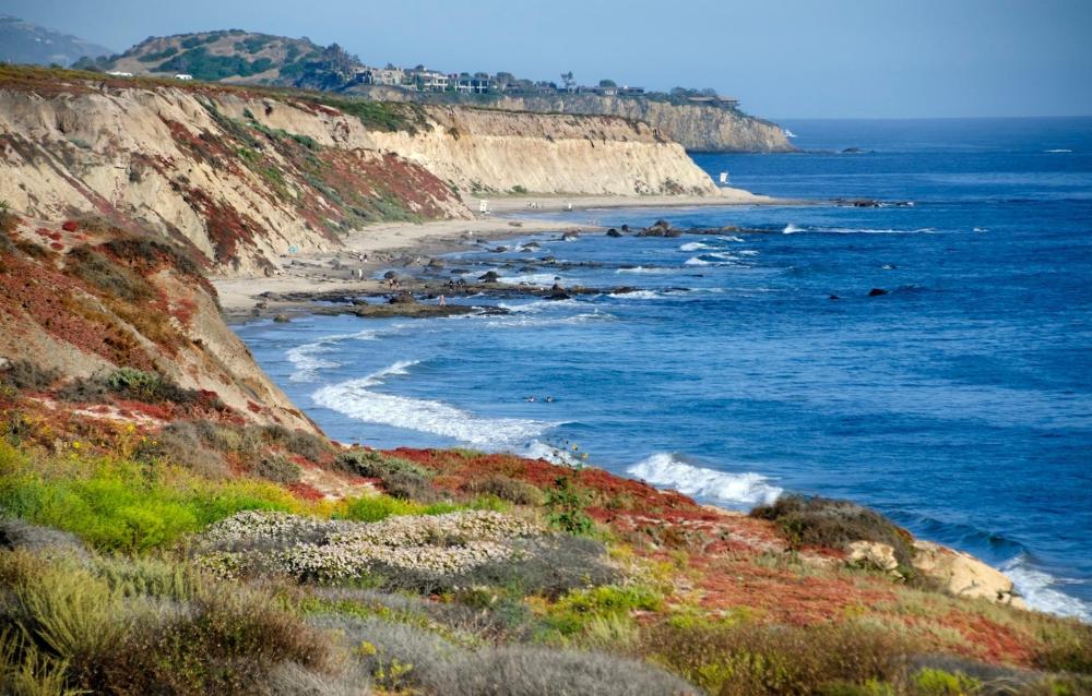 A view of Crystal Cove Beach along the California coast from a hillside, showcasing the ocean and sandy shore