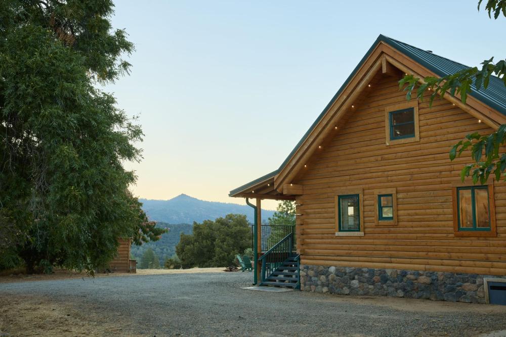 A large tree stands prominently in the background of a duplex, providing shade and a natural aesthetic.