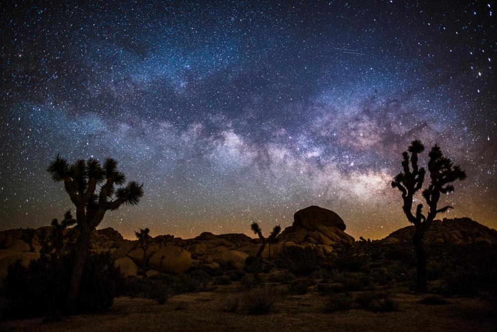 A clear view of the milky way filled with stars at Joshua Tree